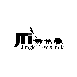 JTI